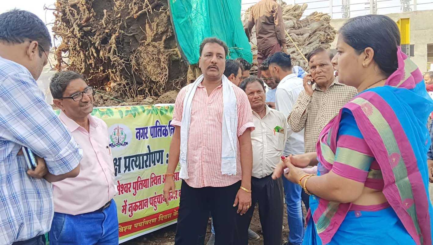 निगम की अनोखी पहल : पर्यावरण दिवस पर वर्षो पुराने बरगद को किया पुनस्र्थापित