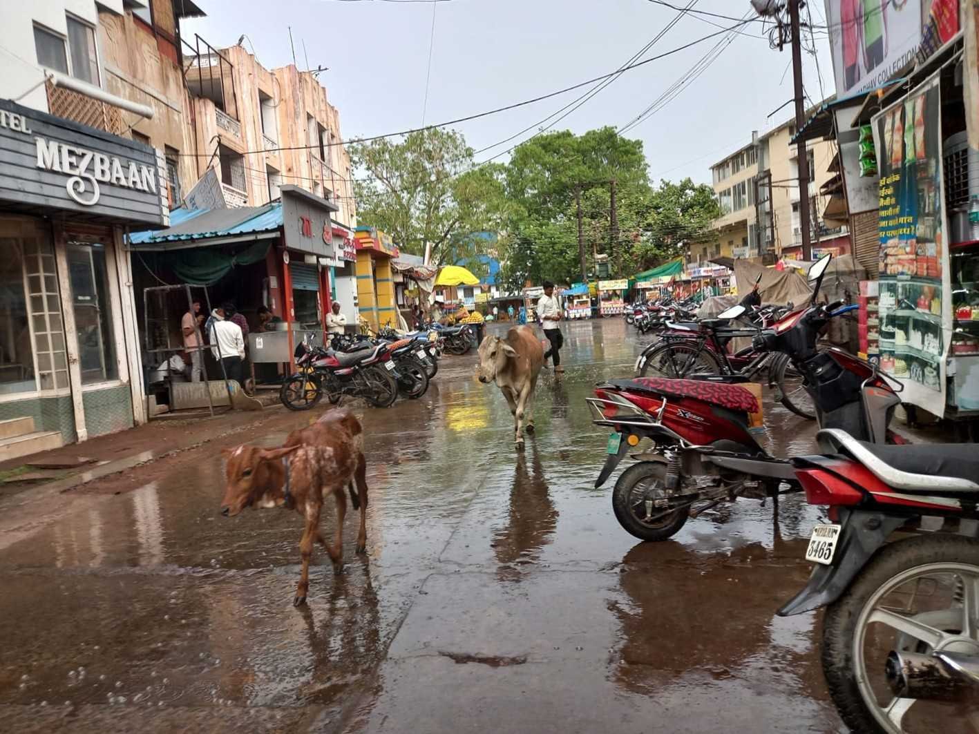 प्री-मानसून : रिमझिम बारिश का दौर शुरू