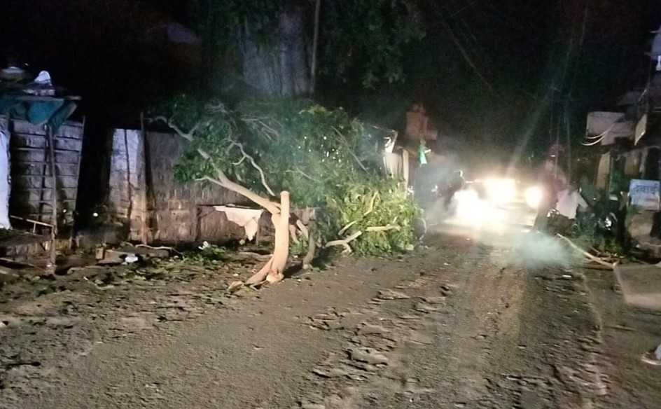 मेन रोड पर गिरा पेड़, बड़ा हादसा टला