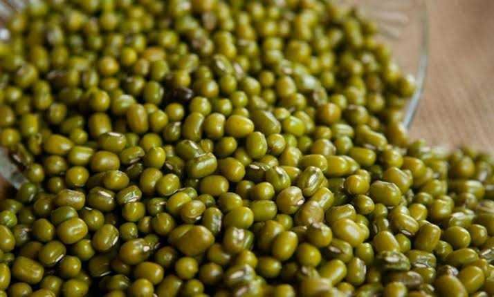 मूंग खरीदी 31 जुलाई तक निर्बाध रूप से जारी रहेगी : उप संचालक कृषि