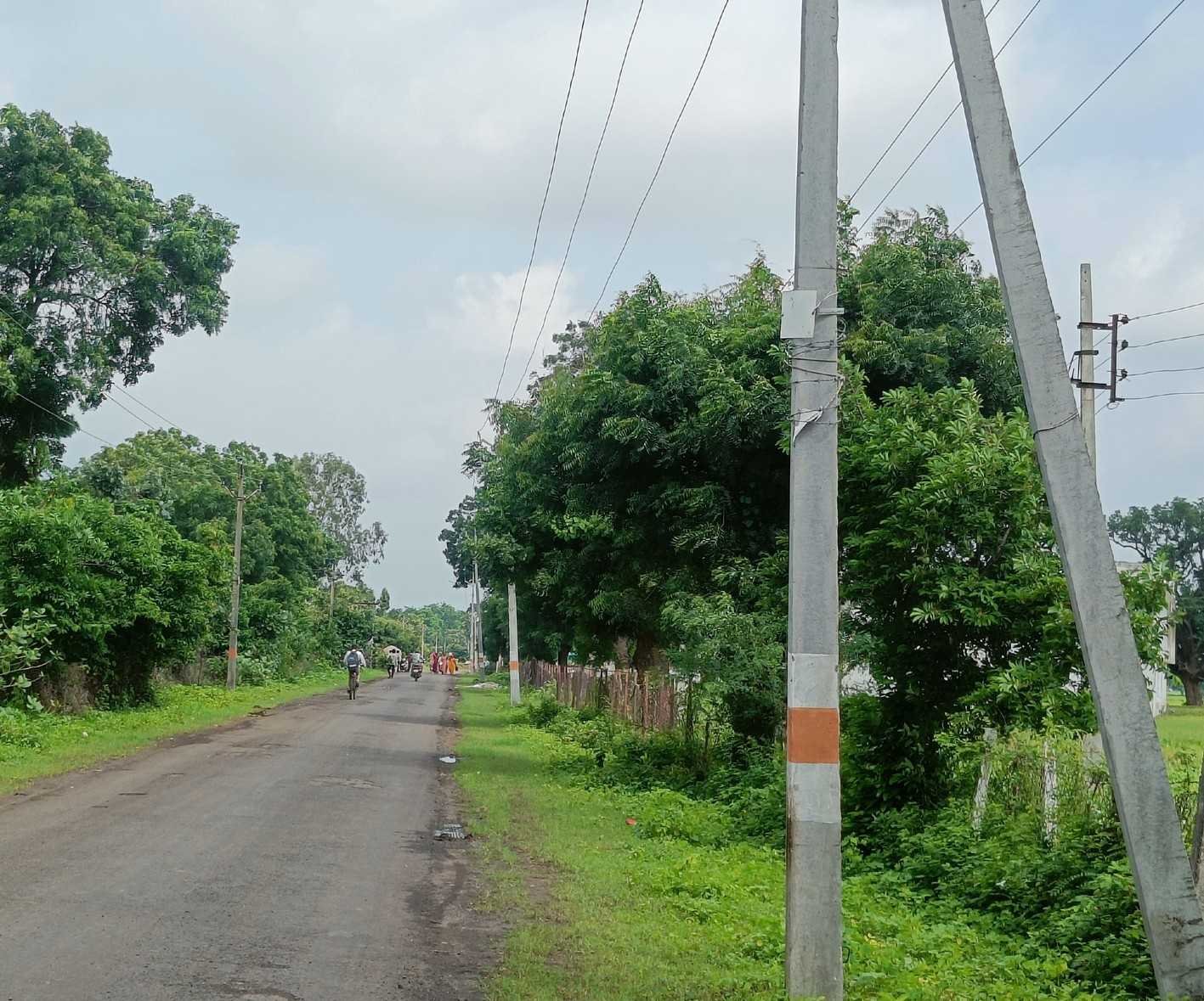 सड़क के साइड सोल्डर पर ना लगाएं जाएं बिजली के खंभे
