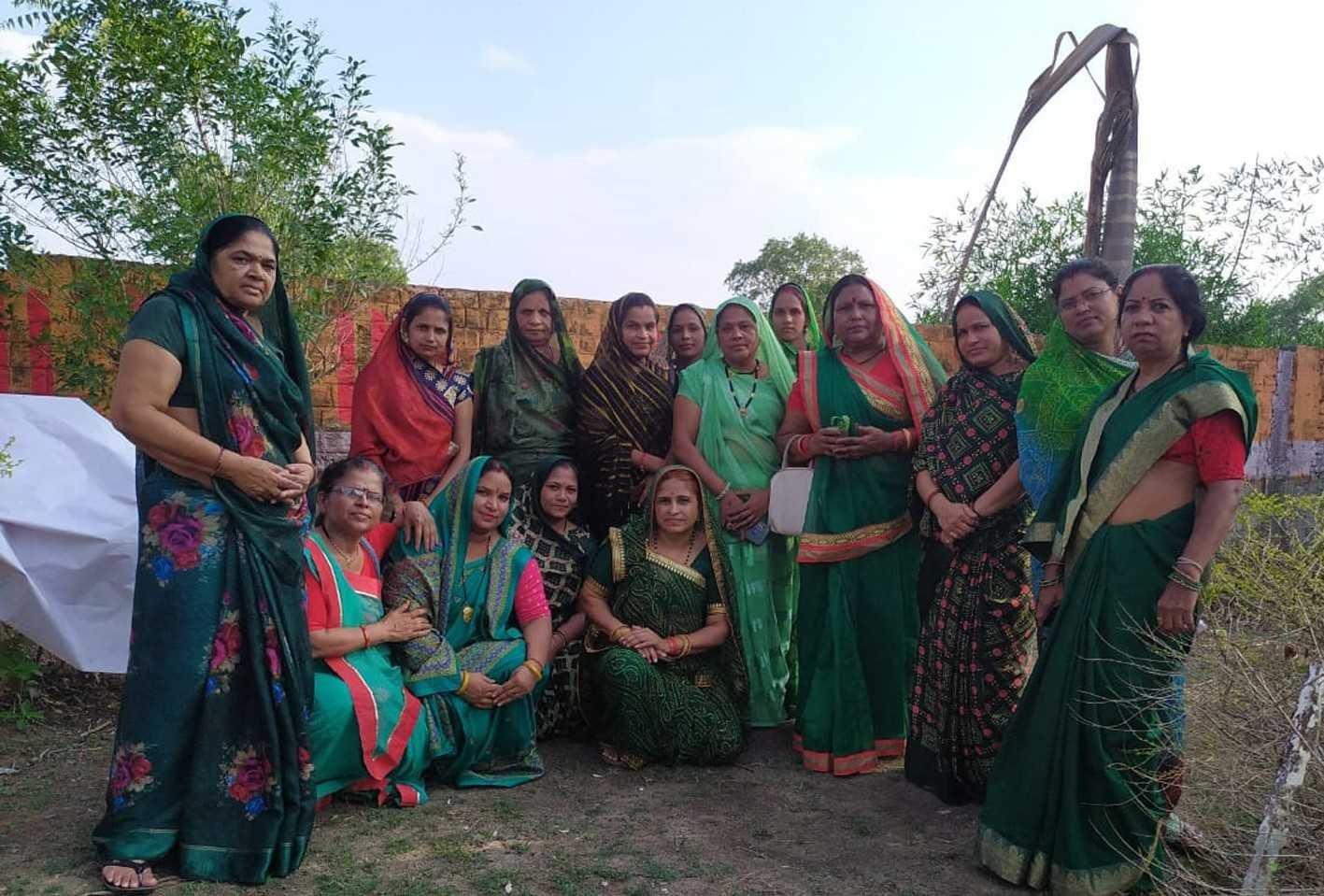 पौधरोपण कर मनाया हरियाली महोत्सव