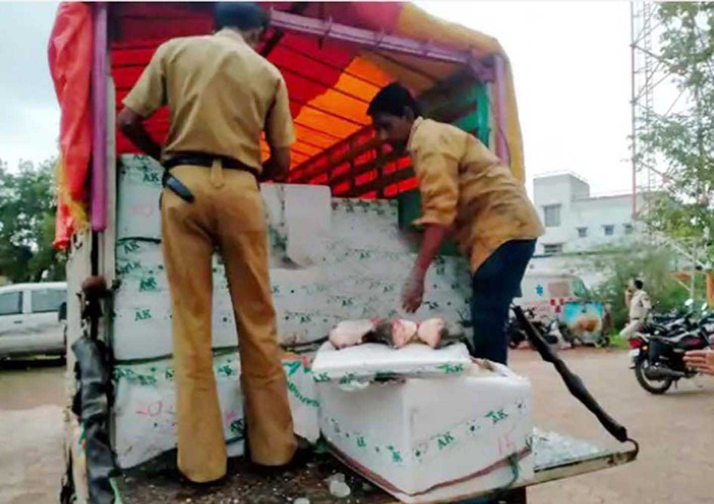 प्रतिबंध के बावजूद 17 क्विंटल मछली पकड़ी