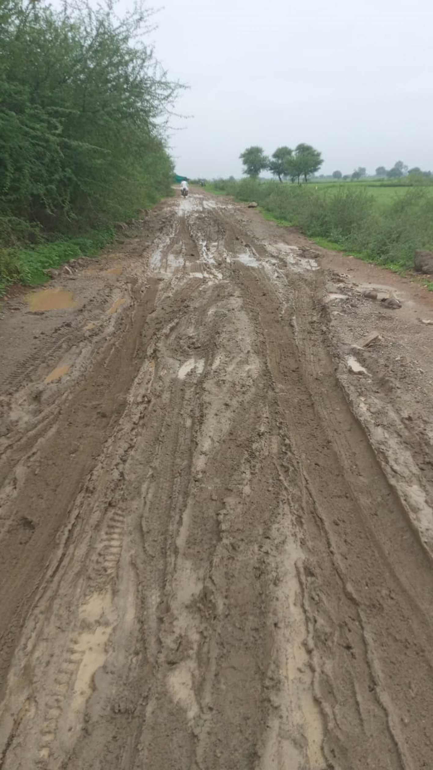 सन्यासा-गोगिया मार्ग राहगीरों के लिए बना मुसीबत