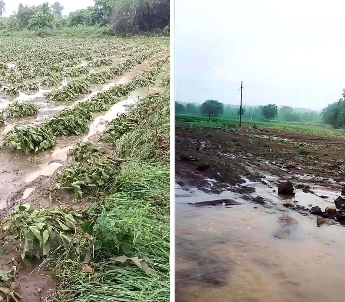 जिले में आफत की बारिश, मांधाता के 10 गांव प्रभावित 