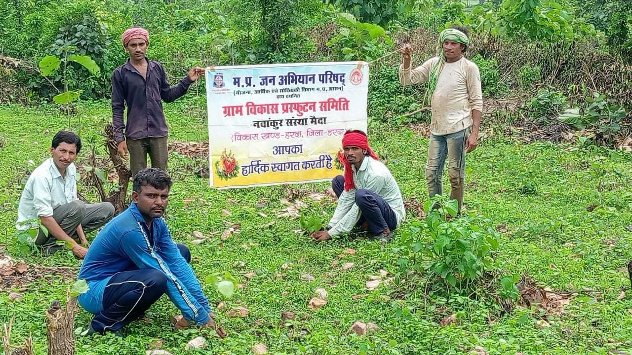 नर्मदा तटीय क्षेत्रों में किया पौधरोपण
