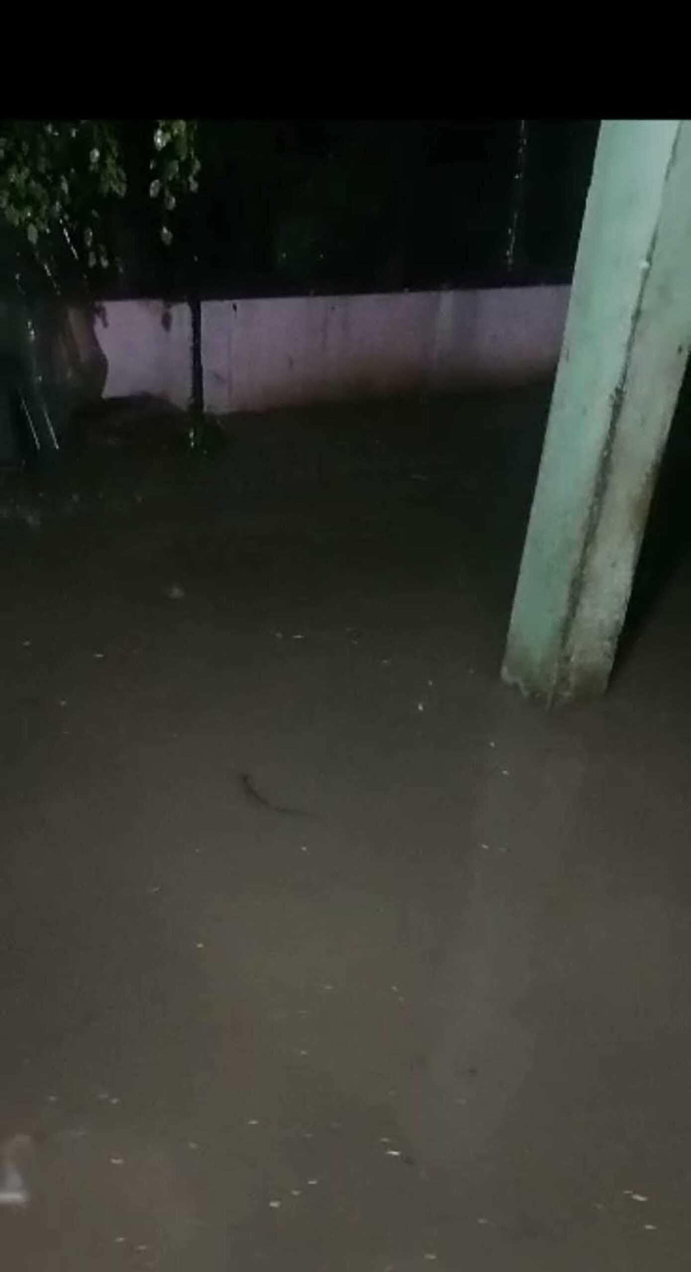 समस्या…. ड्रेनेज फेल! दुकानों के अंदर भराया पानी