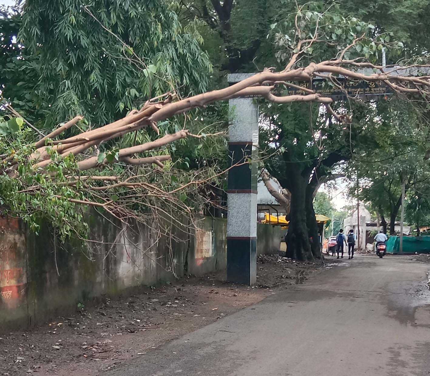यह बात गलत है….