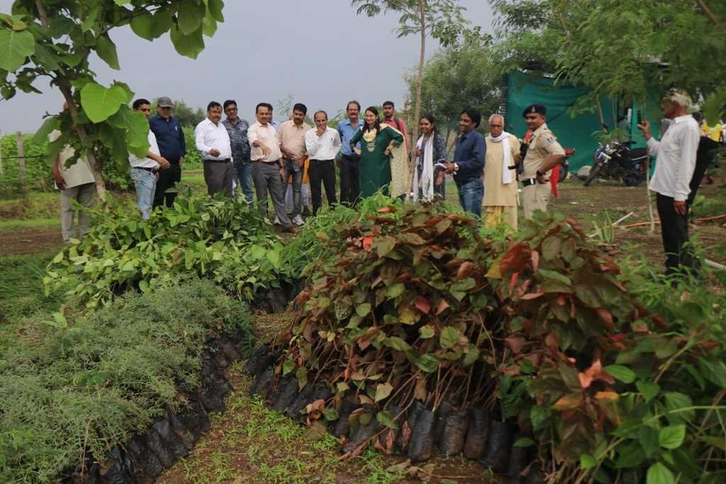 10 हजार पौधे लगाने की योजना