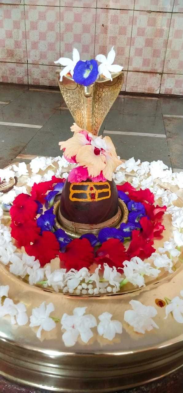 बाबा जयैश्वर महादेव सोमवार को निकलेंगे नगर भ्रमण पर