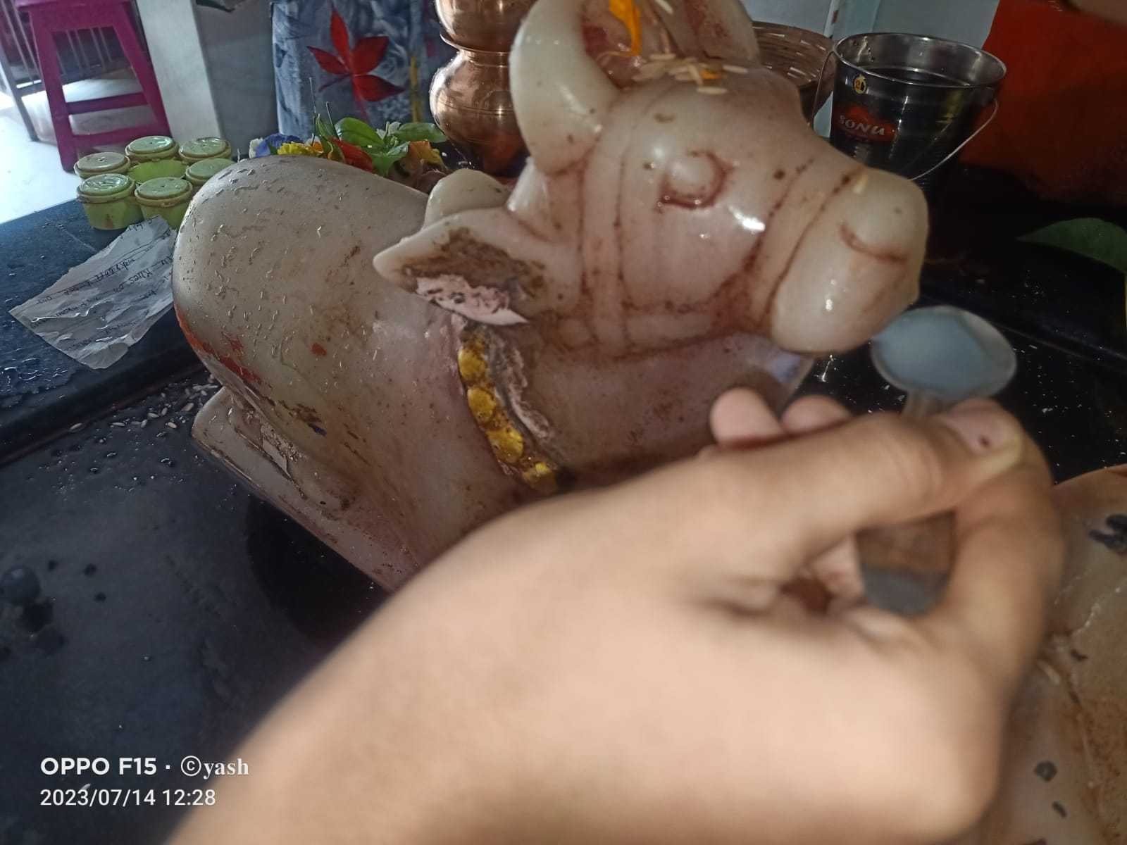 नगर के शिवालयों में नंदी महाराज पी रहे दूध एवं जल