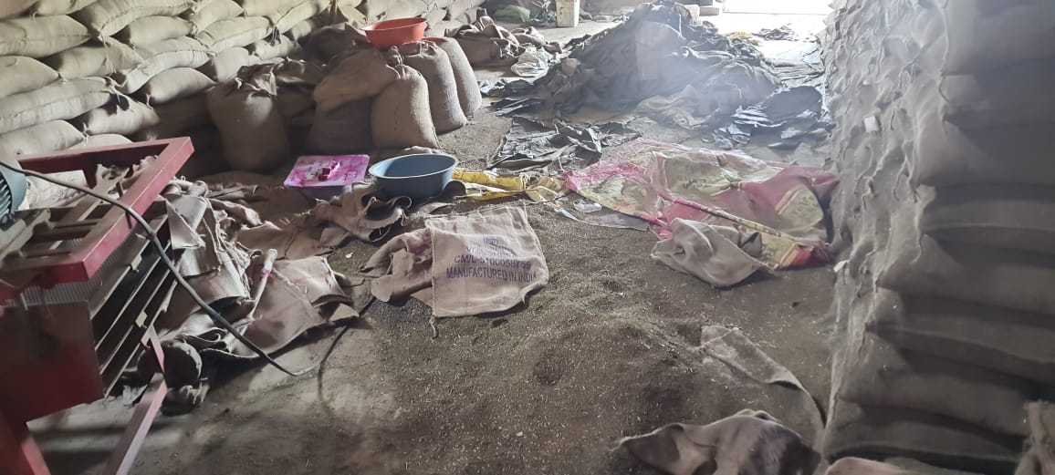 मूंग खरीदी के बाद ग्रेडिंग में भी फर्जीवाड़ा, बड़े गोदाम मालिकों ने 10 फीसदी मूंग की भी नहीं की ग्रेडिंग