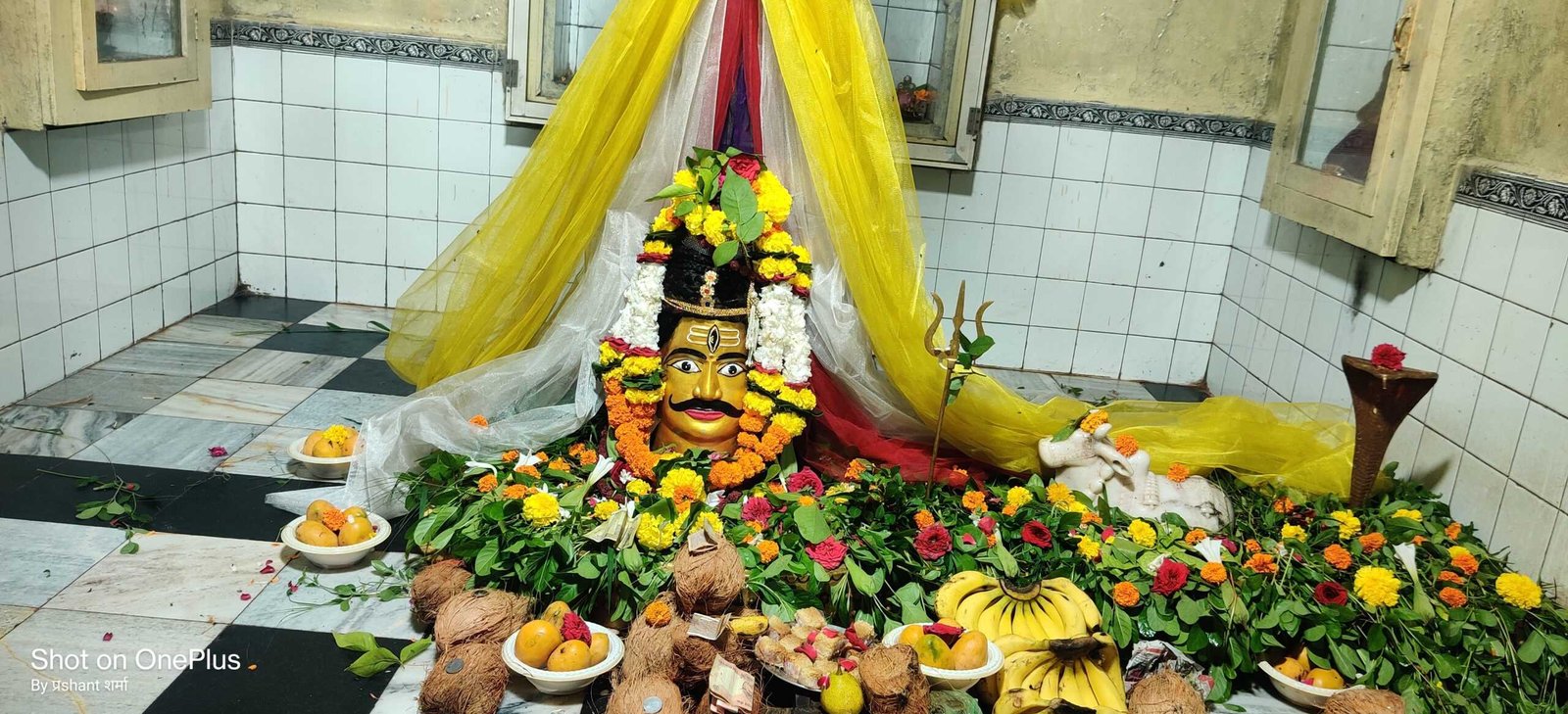 शिवालयों में हुआ अभिषेक अनुष्ठान