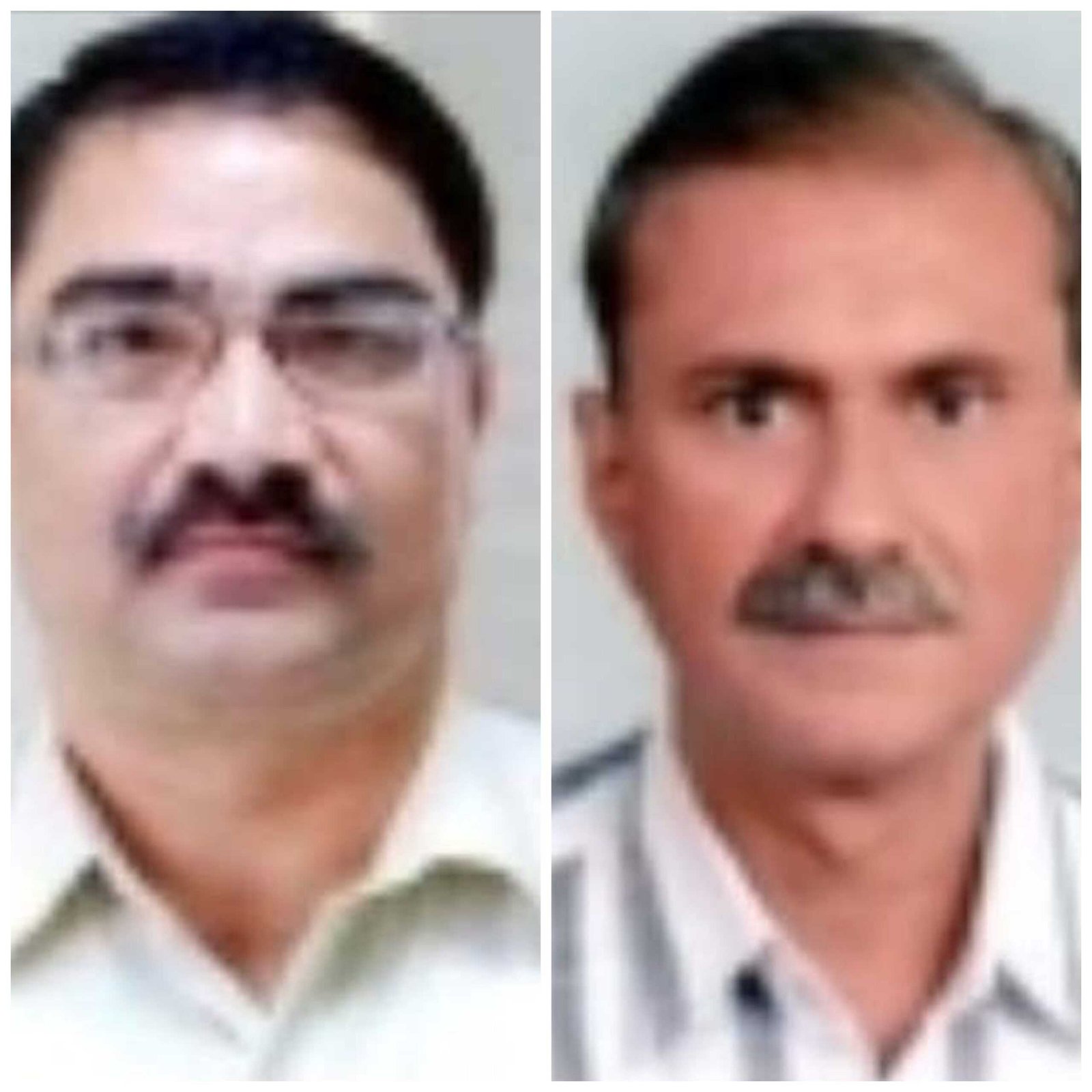 चीतों पर छाए मौत के संकट की घड़ी में मुख्य वन्यप्राणी अभिरक्षक चौहान को हटाया