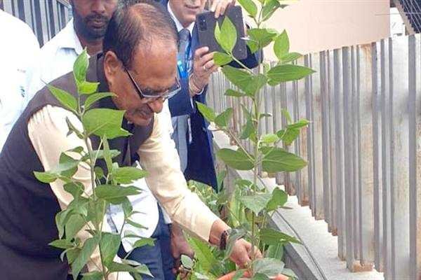 मुख्यमंत्री श्री चौहान ने लगाया पारिजात का पौधा