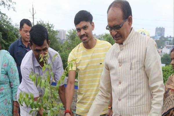 मुख्यमंत्री श्री चौहान ने किया पौध-रोपण