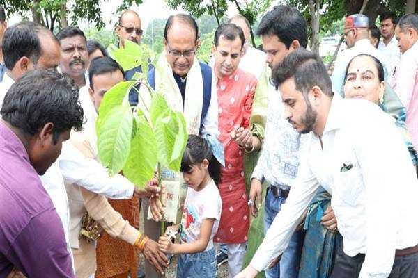 मुख्यमंत्री श्री चौहान ने श्रद्धेय कैलाश जोशी की जयंती पर किया पौध-रोपण