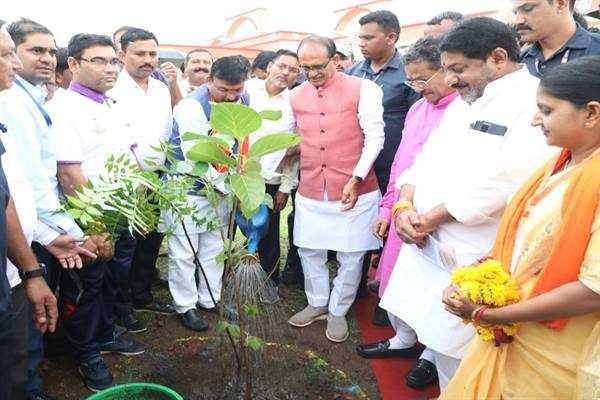 मुख्यमंत्री श्री चौहान ने बड़वानी सर्किट हाउस में किया पौध-रोपण