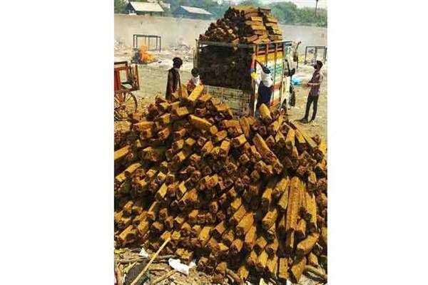 भोपाल का गो-काष्ठ अन्य राज्यों का भी बचा रहा वन एवं पर्यावरण