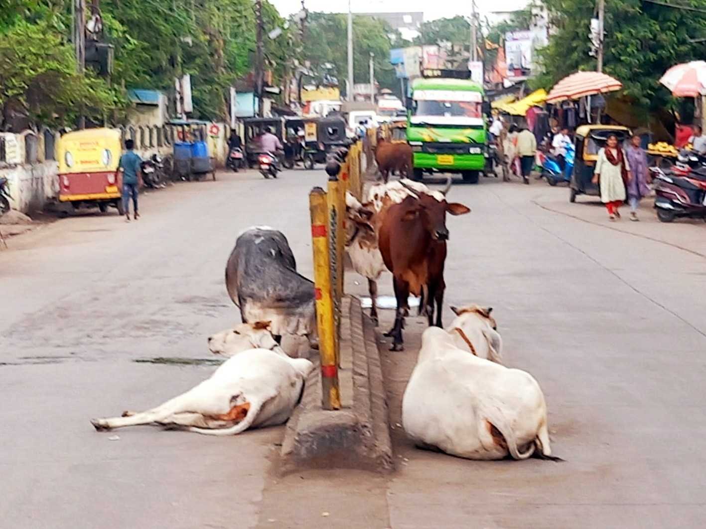 क्या ऐसे बनेगा हमारा खंडवा स्वच्छ व सुंदर