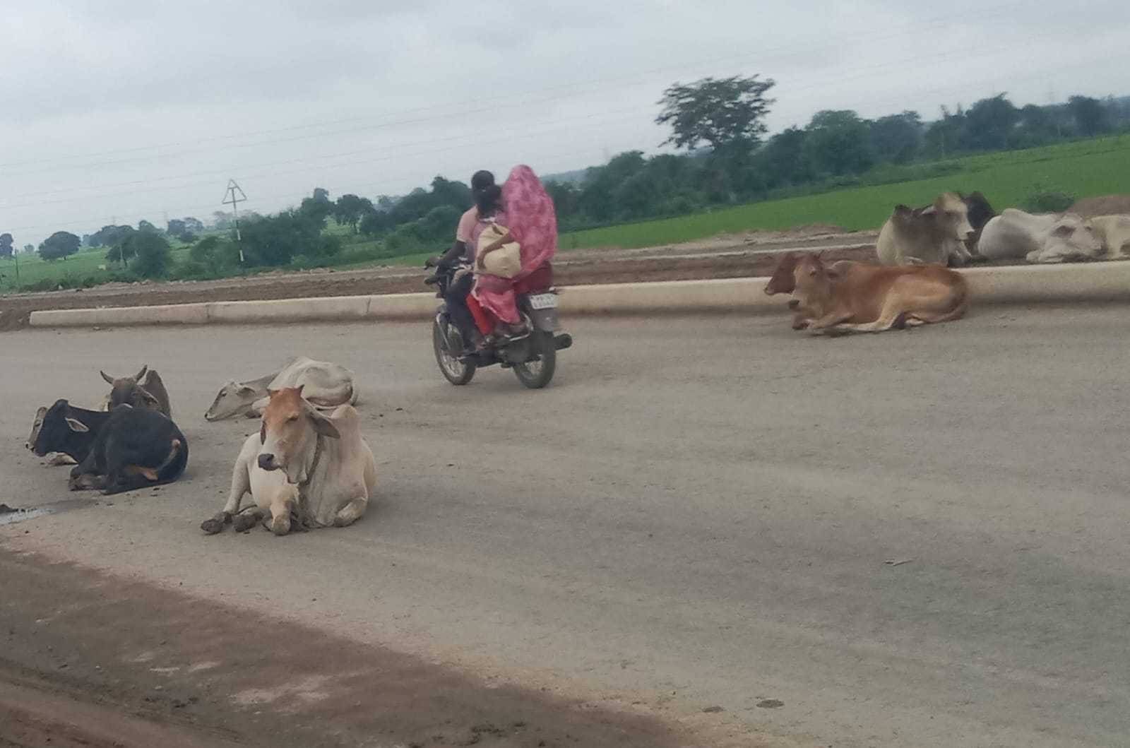 यह बात गलत है….
