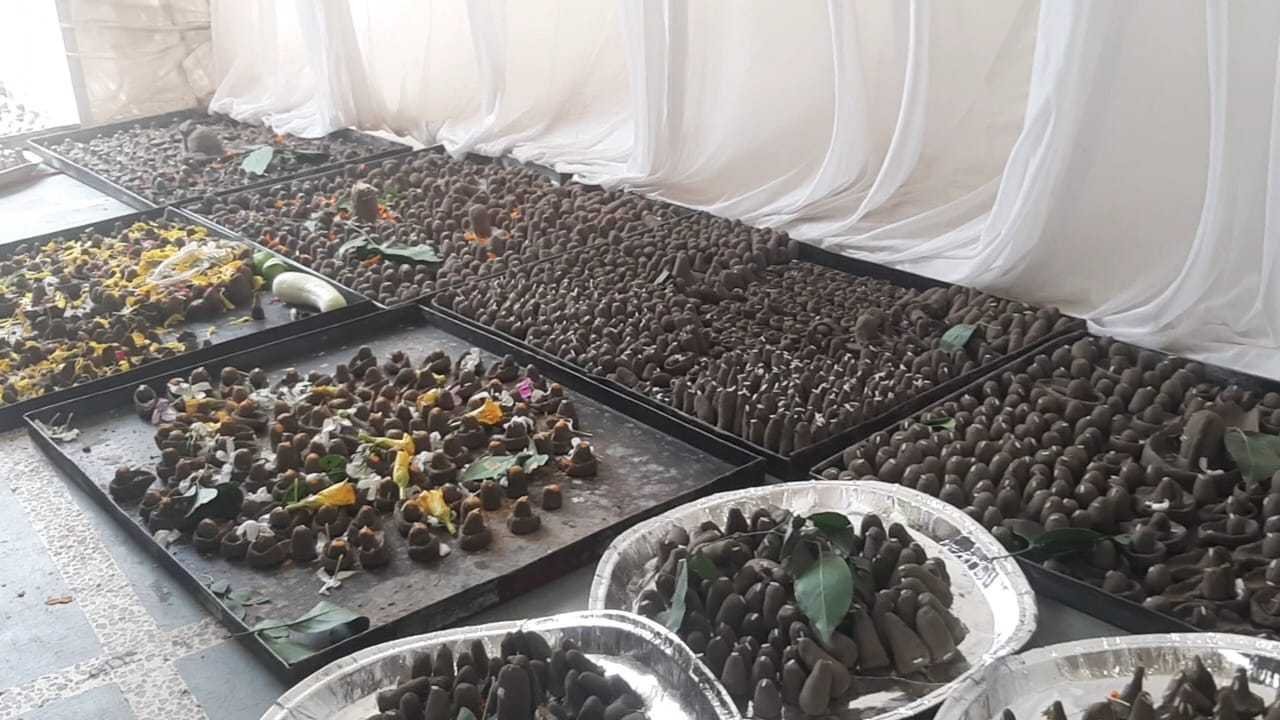 11 हजार पार्थिव शिवलिंग का भक्तों ने निर्माण