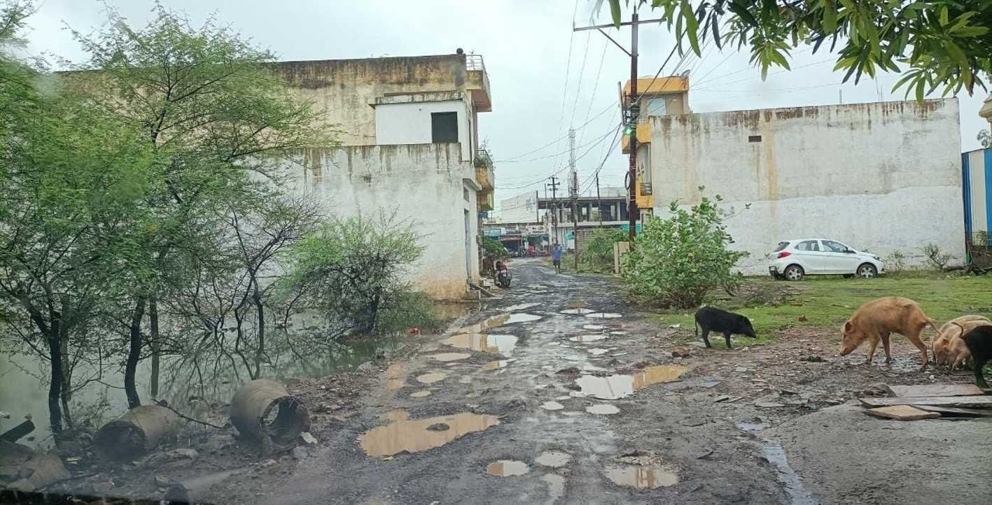 नारकीय जीवन जी रहे वार्ड 32 के निवासी