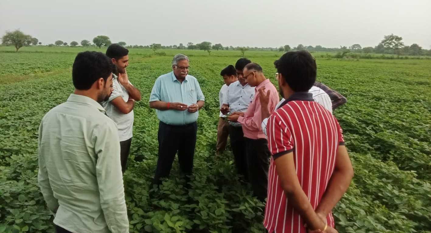 भ्रमण….  खेतों में पहुंची डायग्नोस्टिक टीम ने देखीं फसलें