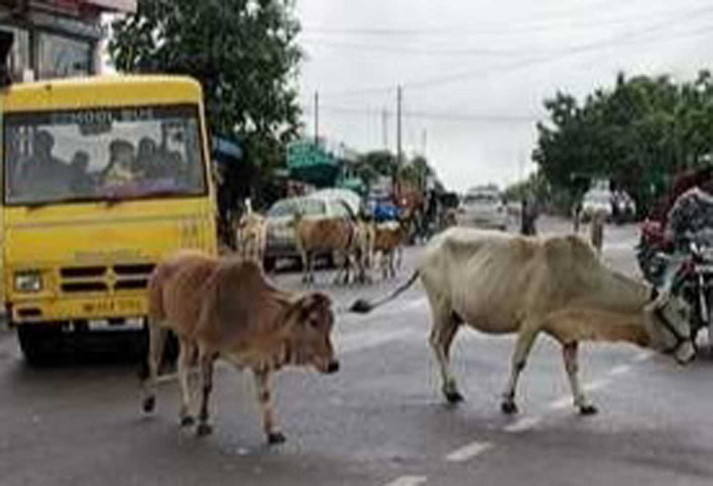 यह बात गलत है….