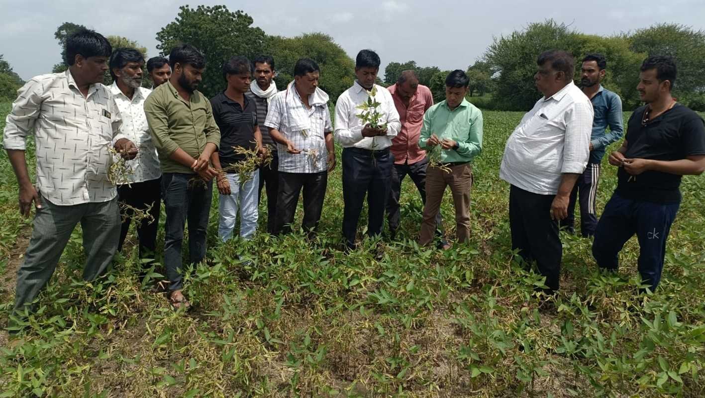 डायग्नोस्टिक टीम ने किया फसलों का निरीक्षण  