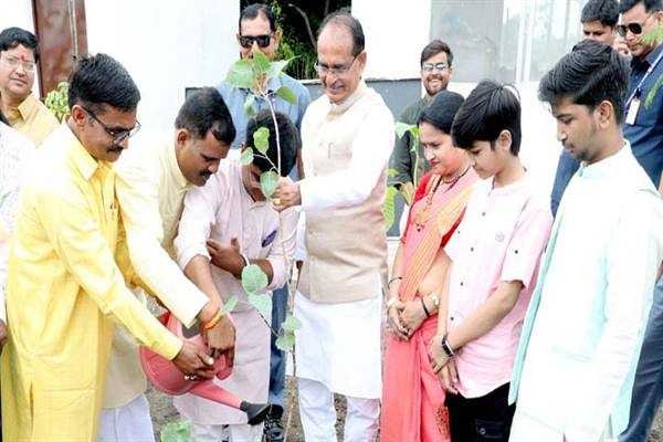 मुख्यमंत्री श्री चौहान ने महुआ, पीपल और गुलमोहर के पौधे रोपे
