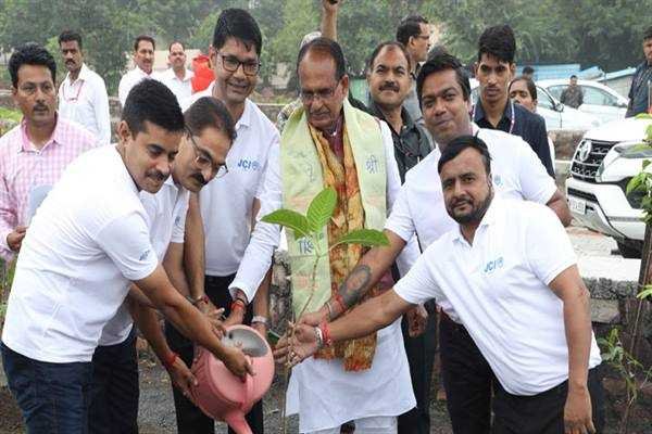 मुख्यमंत्री श्री चौहान ने पीपल, गुलमोहर और कदंब के पौधे रोपे