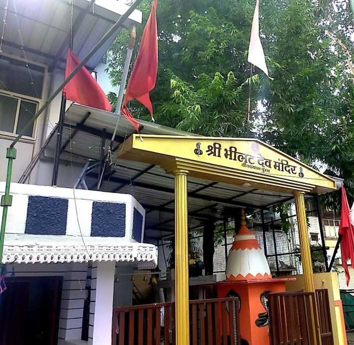 आज नाग मंदिरों में उमड़ेगा भक्तों का सैलाब, भीलट गादियों से निकलेगी छड़ियां
