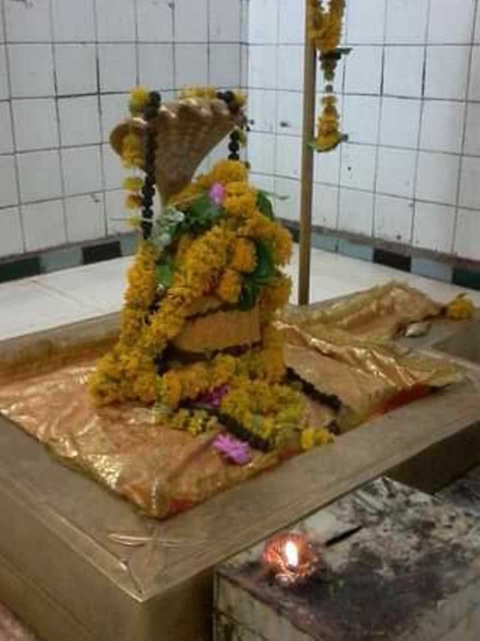 श्री मनकामेश्वर महादेव की भव्य शाही सवारी एवं भण्डारा आज, महादेव का मुखोठा रहेगा आकर्षण का केंद्र