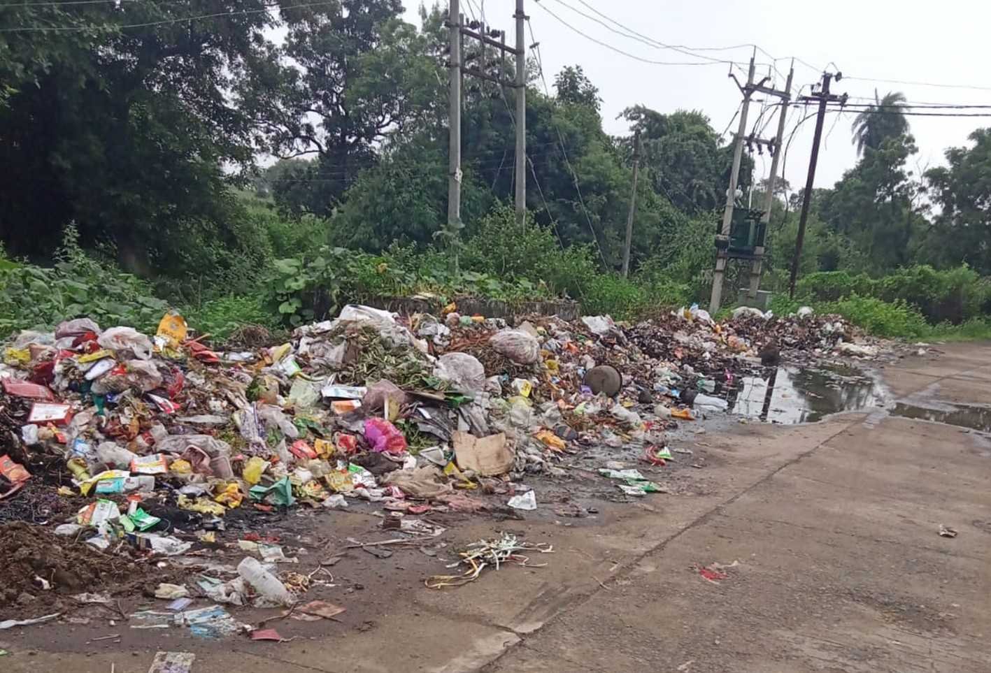 मगरधा पंचायत में उड़ रहा स्वच्छता मिशन का मजाक, आधे रोड पर फैला कचरा