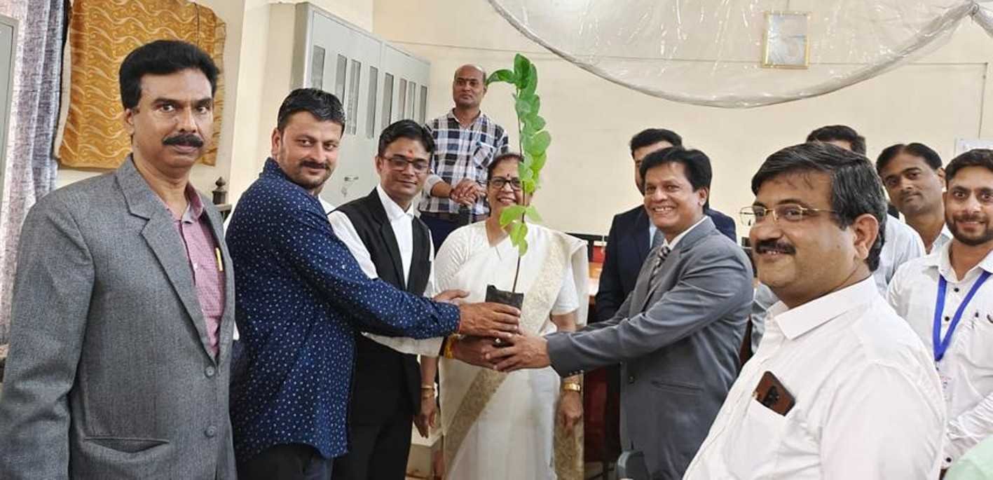 नेशनल लोक अदालत में निपटे 523 मामलें