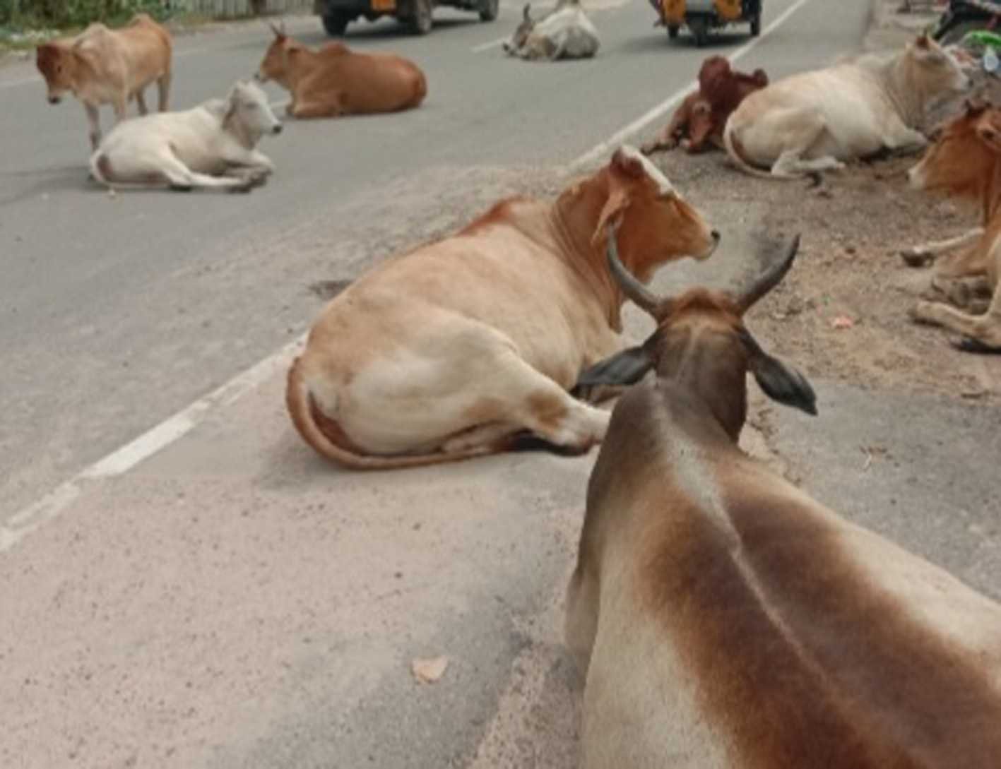 यह बात गलत है…..