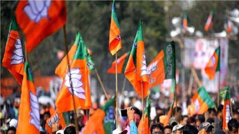 भाजपा ने चुनाव में उतारी प्रवासी  नेताओं की फौज