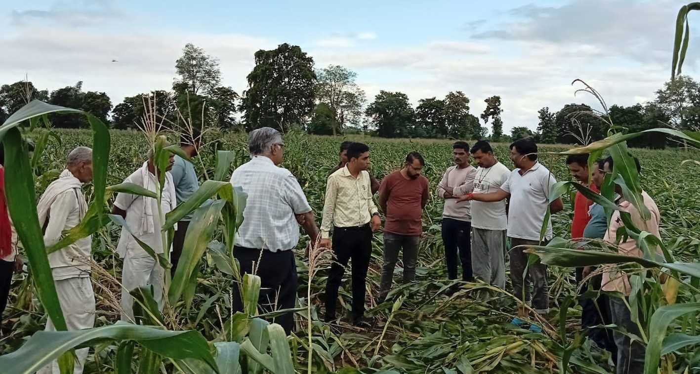 किसानों के खेतों में पहुंचे कृषि प्रसार कार्यकर्ता