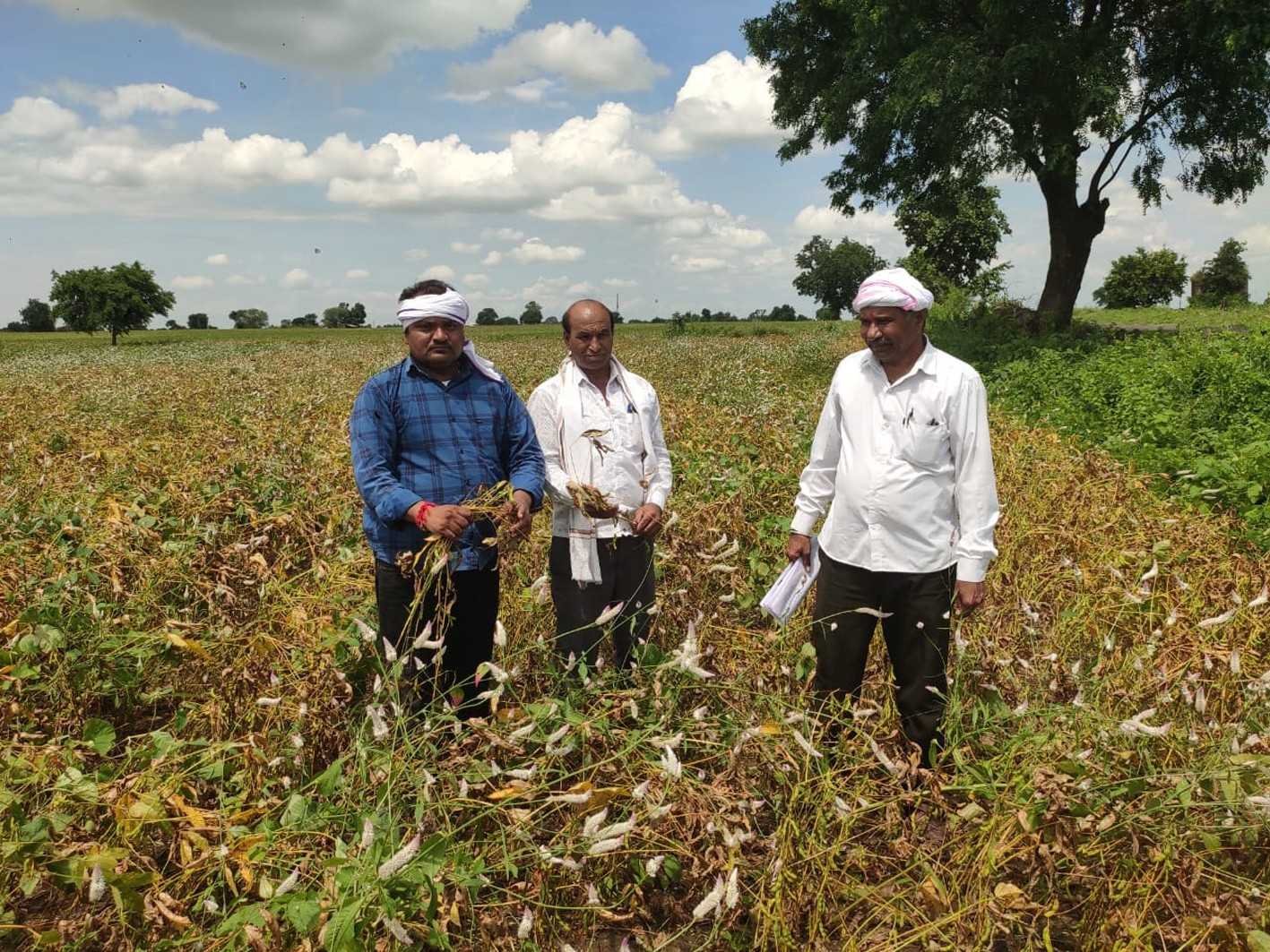 बर्बाद फसल की क्षतिपूर्ति की मांग