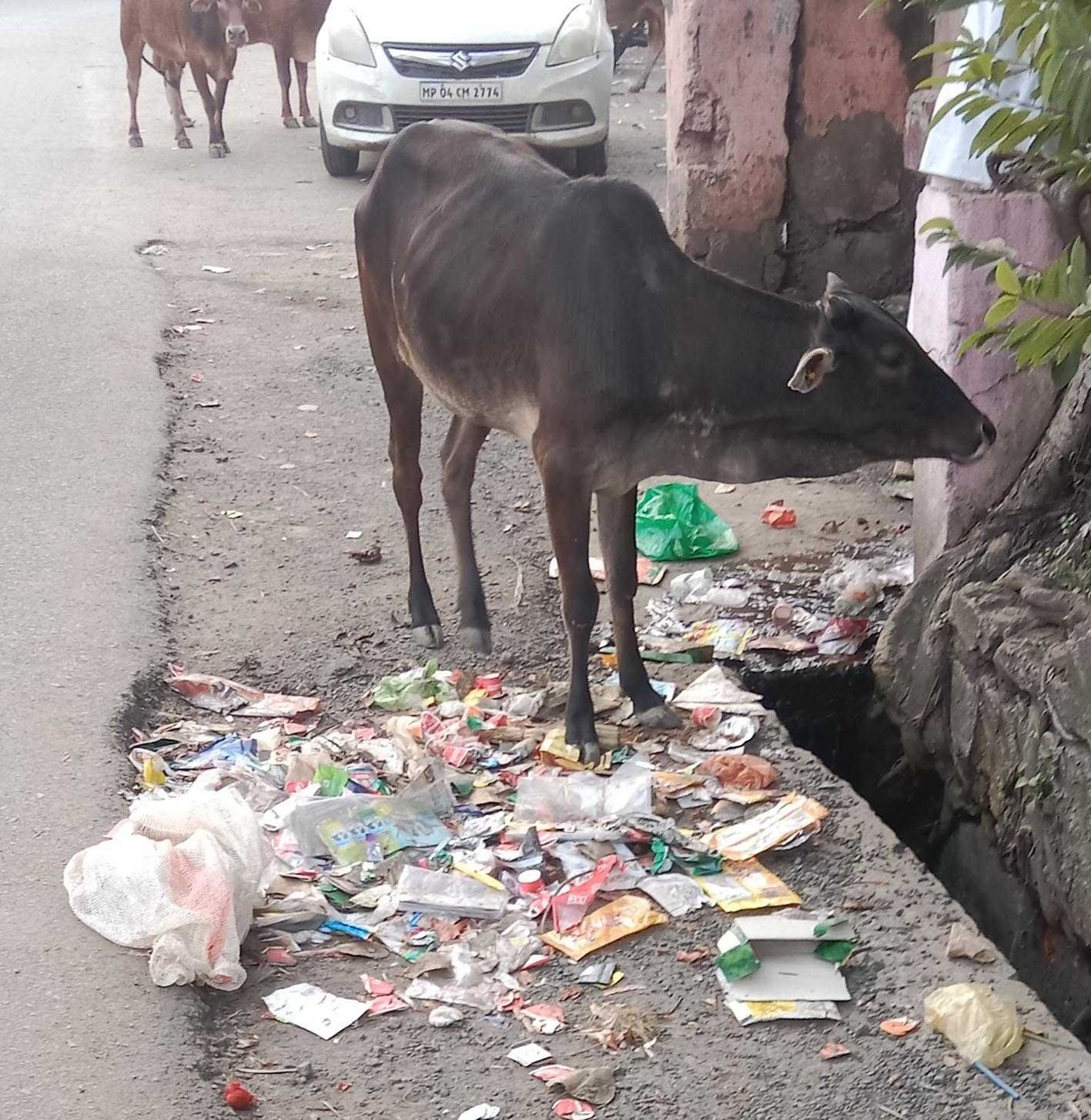 यह बात गलत है…