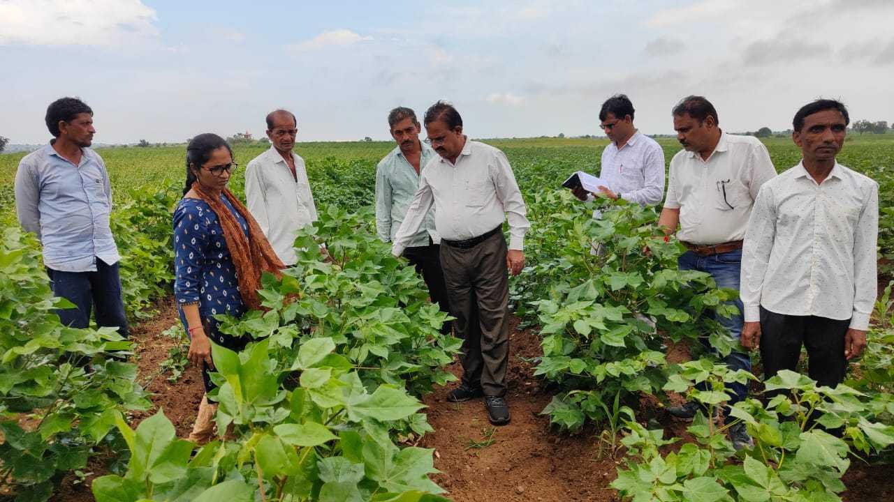 संयुक्त दल ने किसानों के साथ की मुलाकात और फसलों को मुआयना
