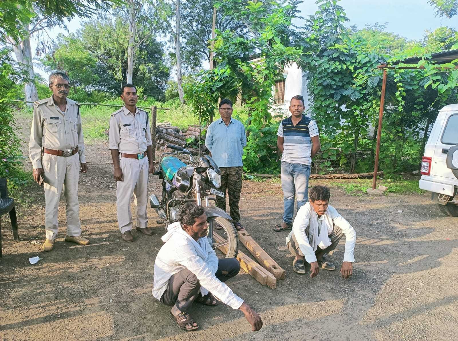 दक्षिण वन मंडल ने तीन दिनों में अलग-अलग जगह की ताबड़तोड़ कार्यवाही