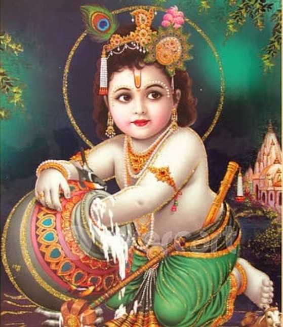 श्री कृष्ण जन्माष्टमी पर पंचामृत से अभिषेक एवं छप्पन भोग लगेगा