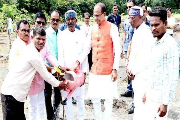 मुख्यमंत्री चौहान के साथ सामाजिक कार्यकर्ताओं ने किया पौध-रोपण