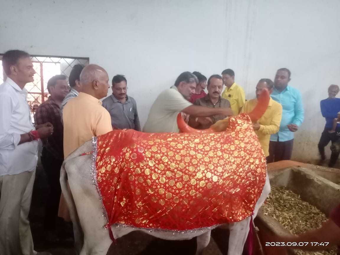 श्री गणेश गौशाला में मनाया रक्षाबंधन पर्व