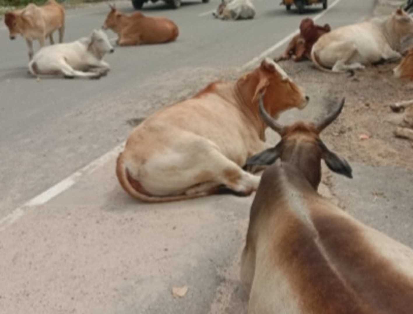 यह बात गलत है…