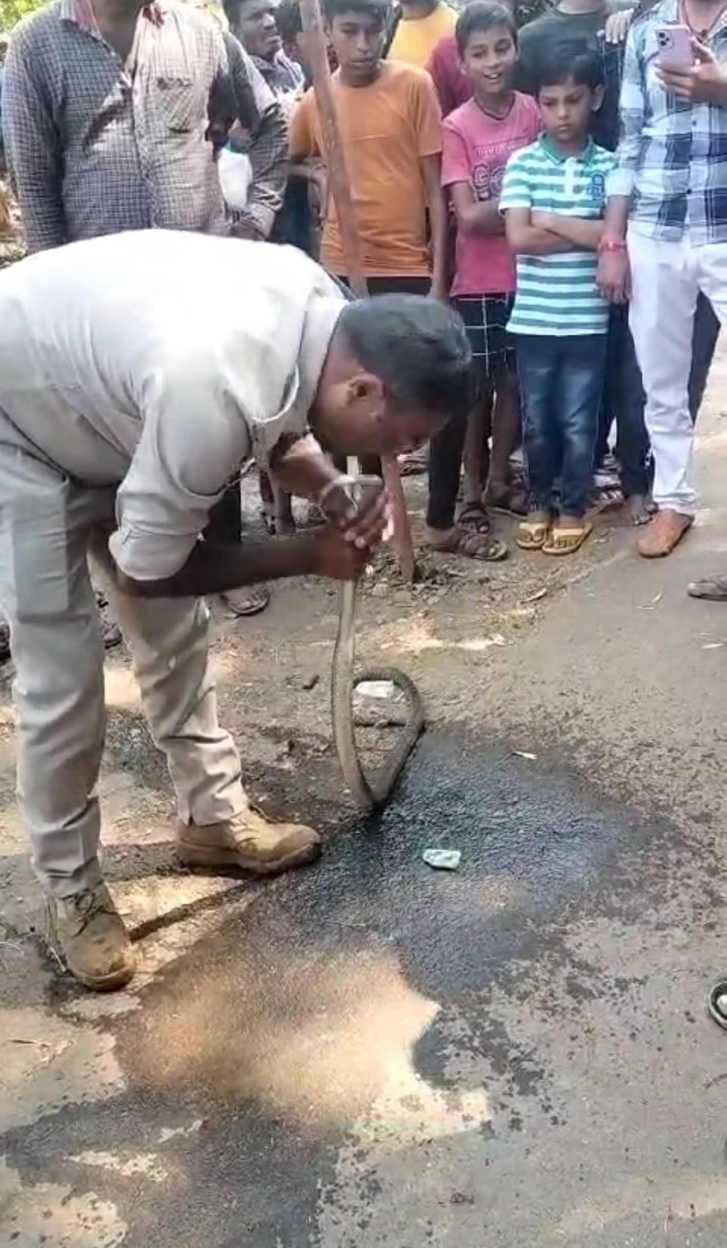 पुलिस जवान ने सांप को मुंह से सीपीआर देकर दिया जीवनदान