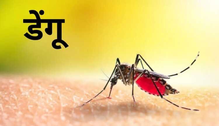 24 घंटे में 4 नए डेंगू मरीजों की पुष्टि, आंकड़ा 243 पर पहुंचा, पीड़ितों में 26 बच्चे भी शामिल