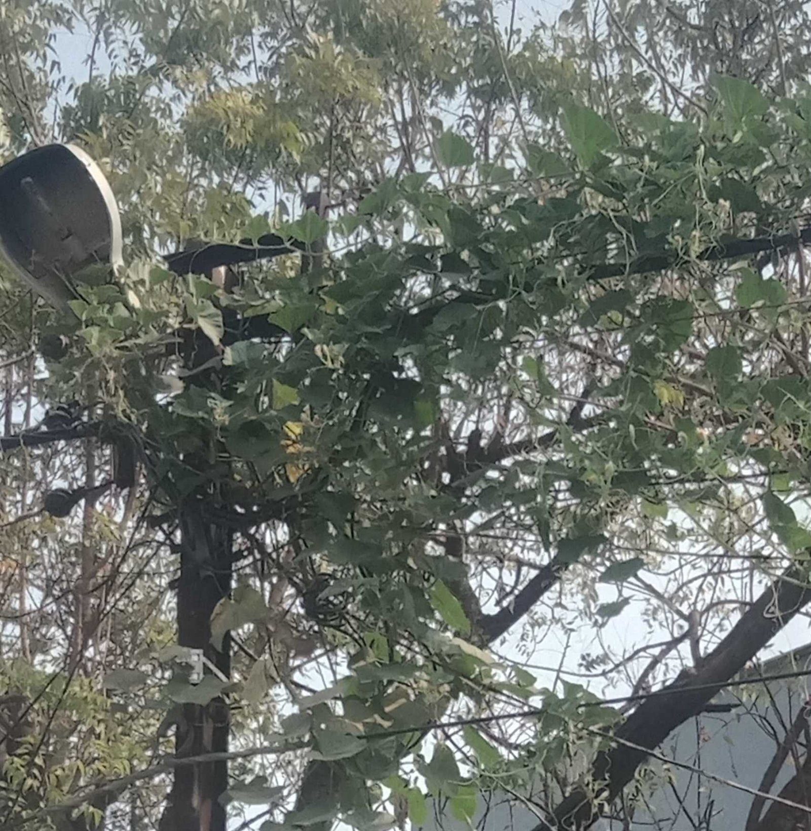 यह बात गलत है….